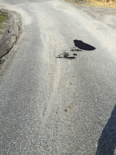 Bensinspor på stripa