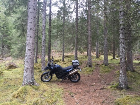 Først bar det til skogs