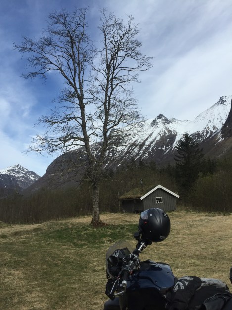 Et tre, en seter og en sykkel samt en hjelm